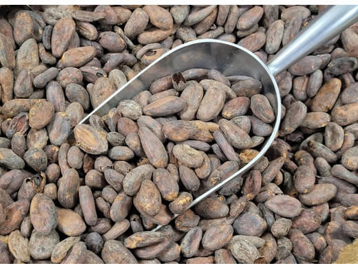 Какао бобы Криолло - Папуа Новая Гвинея 500 гр