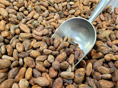 Какао-бобы Тринитарио Куба Баракоа 1 кг