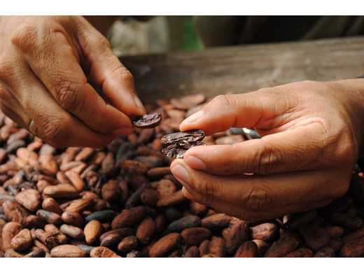 Какао бобы Го Граунд ,Индия 250 г
