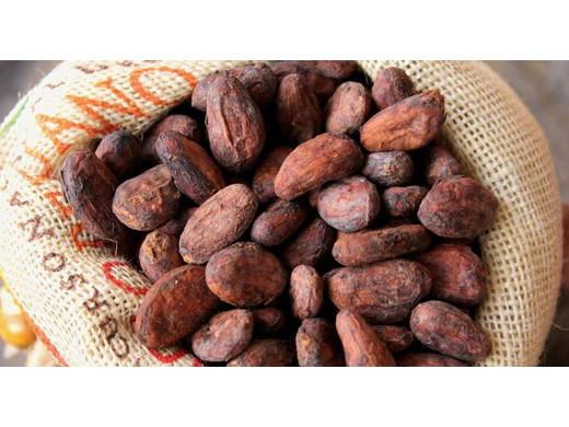 Какао-бобы Финка Ана Мария, Гватемала 1 кг